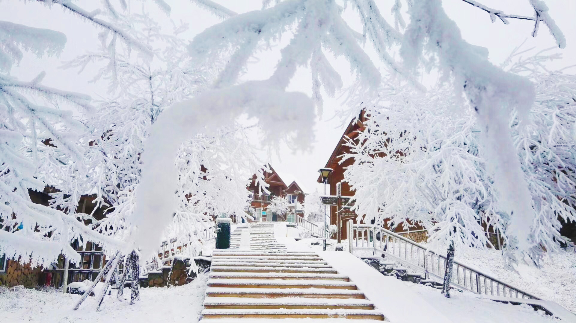 西岭雪山-初冬