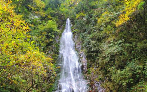 1539940725498049788.png image.png