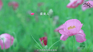 西岭雪山视频-夏