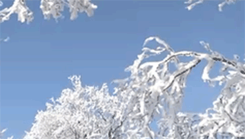 西岭雪景（游客手机拍摄）