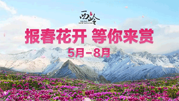 西岭雪山首届高山花卉节