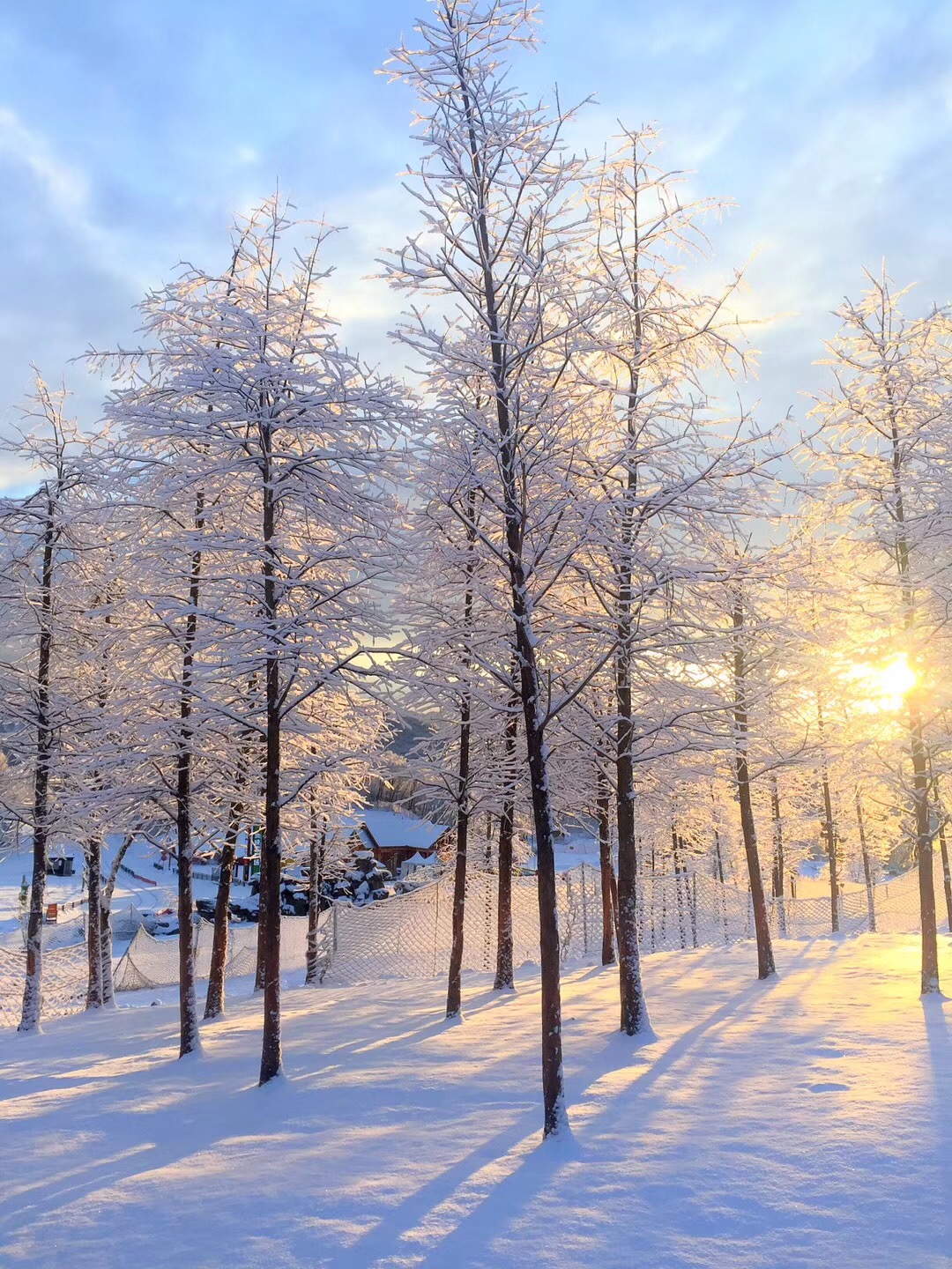 第一场春雪