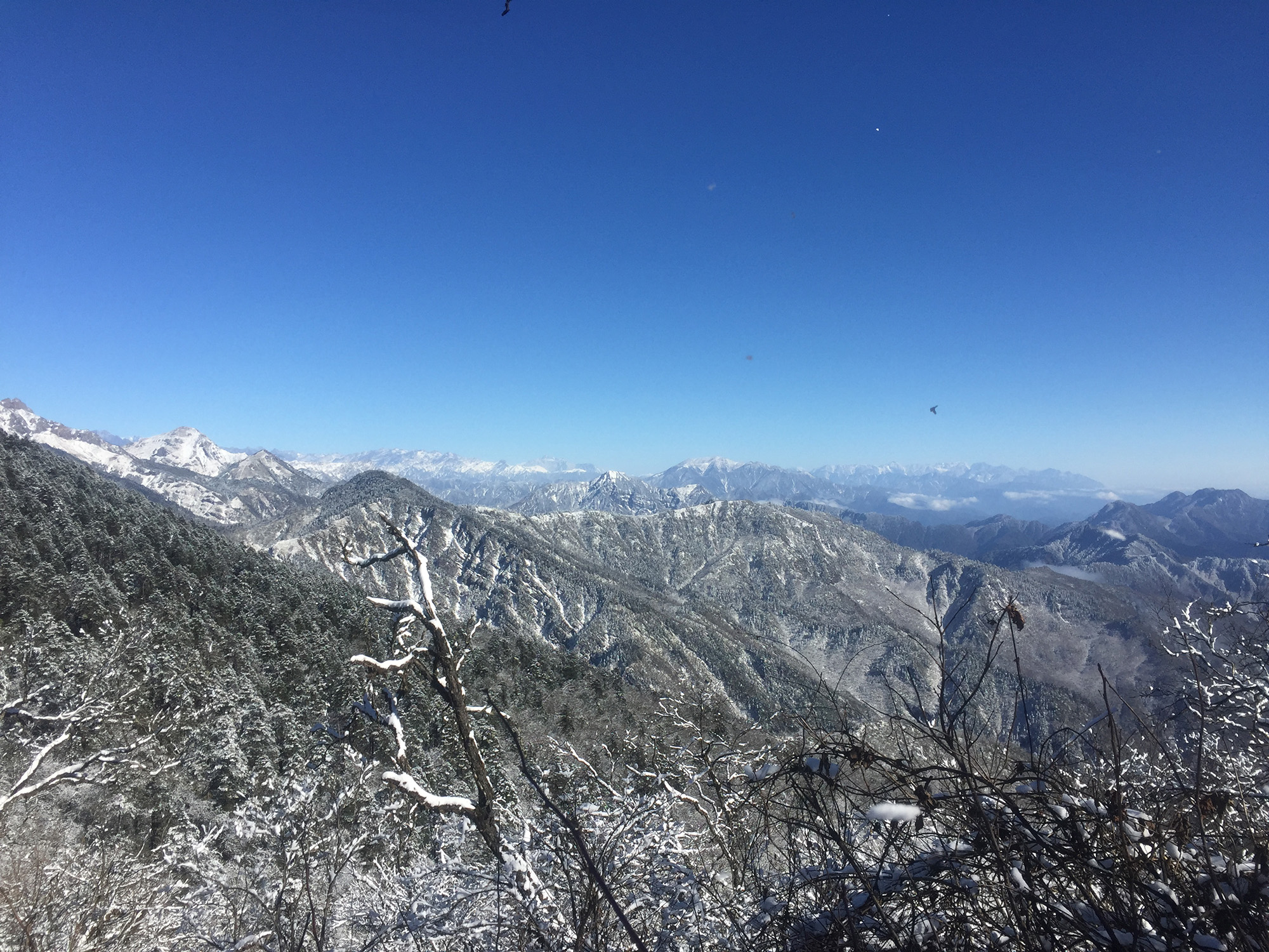 初雪