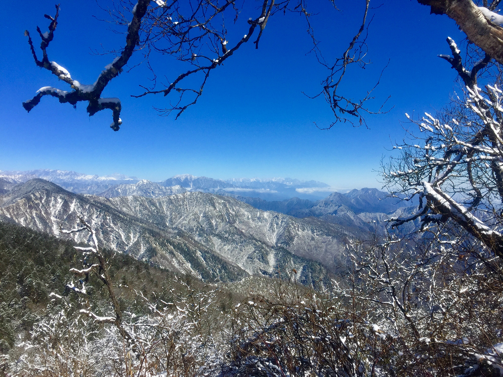 初雪