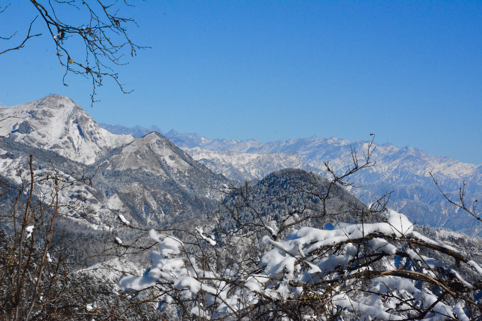 初雪